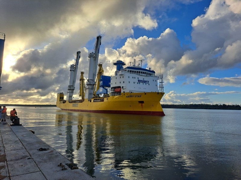 Mounting Luffing Harbour Cranes